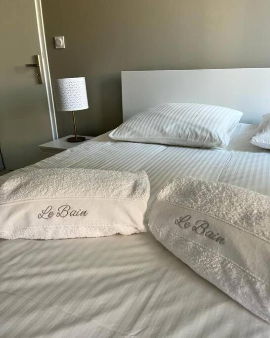 Vigne Et Mer-Spacieux Appartement Haussmannien-2Chambres-Wifi 贝济耶 外观 照片