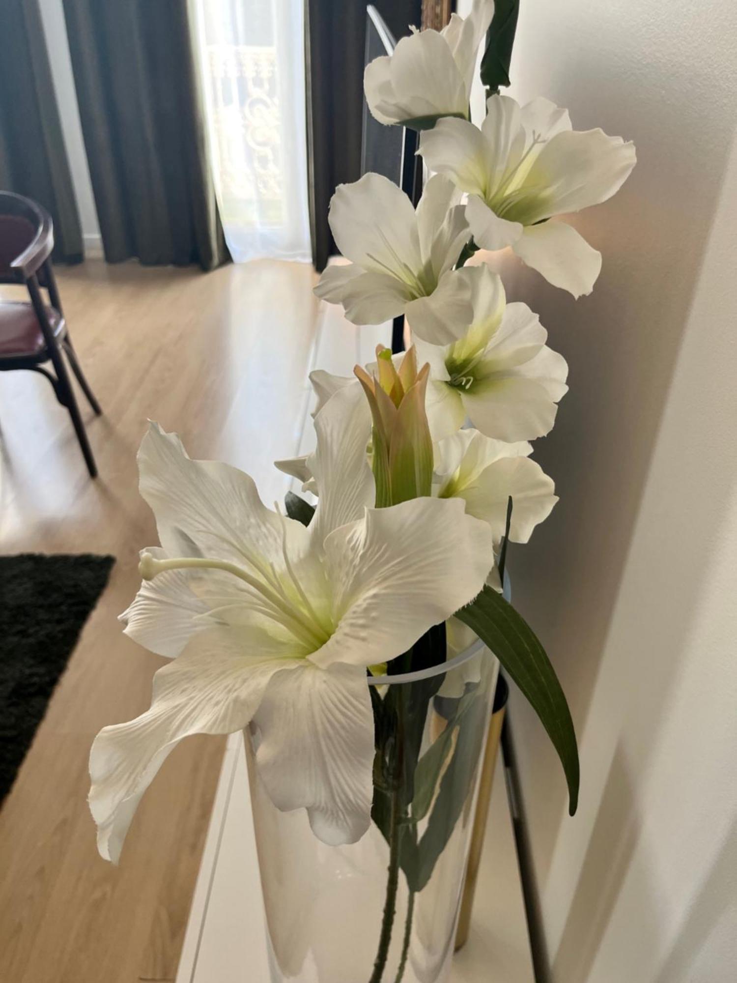 Vigne Et Mer-Spacieux Appartement Haussmannien-2Chambres-Wifi 贝济耶 外观 照片